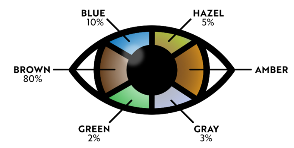 how-many-eye-colors-are-there-which-one-are-the-most-common